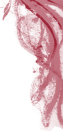 bok red